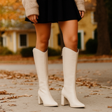 Bottes montantes à talon carré pour femme – fermeture éclair latérale, bout pointu