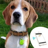 GPS Tracker - LocaTrack - Compact - Suivi en direct