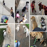 Podwójna smycz dla psów | Zintegrowana lampa