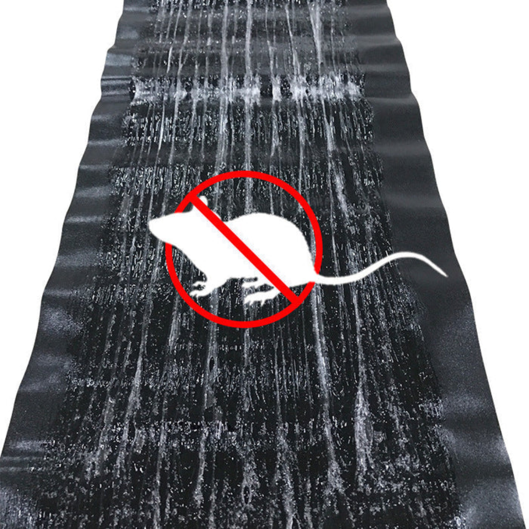 Piège à colle - PestGuard - Grande surface - Revêtement adhésif non toxique
