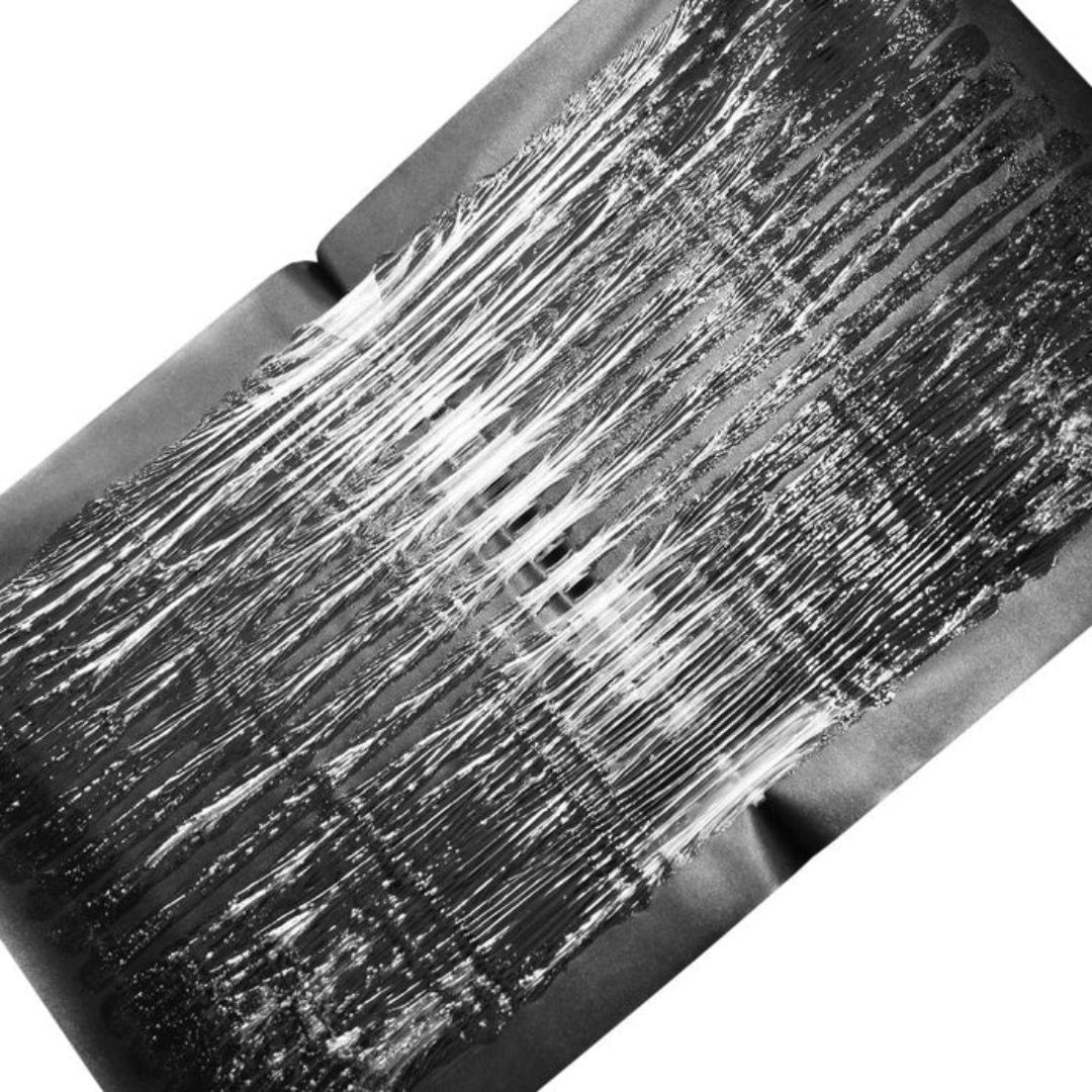 Piège à colle - PestGuard - Grande surface - Revêtement adhésif non toxique